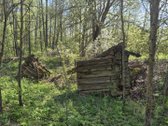 Parduodamas 7,10 Ha Žemės Sklypas Ignalinos - nuotraukos Nr. 6