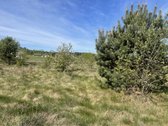 Parduodamas 1,34 hektaro žemės ūkio - nuotraukos Nr. 3