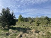 Parduodamas 1,34 hektaro žemės ūkio - nuotraukos Nr. 4