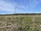 Parduodamas 70 arų žemės ūkio paskirties - nuotraukos Nr. 3