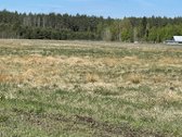 Parduodamas 70 arų žemės ūkio paskirties - nuotraukos Nr. 4