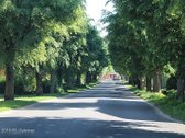 Parduodamas sklypas Gelvonų miestelio centre - nuotraukos Nr. 11