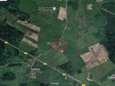 Į šią kainą (357) įeina tik 55ha žemės (visa