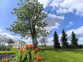 Parduodamas apmūrytas, karkasinis namas su - nuotraukos Nr. 4
