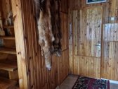 Parduodama išpuoselėta sodyba su erdviu namu, - nuotraukos Nr. 13