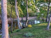 Sklypas sodų bendrijoje "Širvinta" prie pat - nuotraukos Nr. 5
