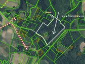 Parduodamas 33,850 ha, miško ūkio sklypas. - nuotraukos Nr. 5