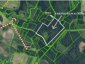 Parduodamas 33,850 ha, miško ūkio sklypas. - nuotraukos Nr. 6