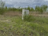 Parduodamas namų valdos žemės sklypas, labai - nuotraukos Nr. 5