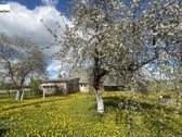 Parduodama jauki, autentišką dvasią - nuotraukos Nr. 24
