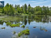 Nuostabus Pasiūlymas Įsigyti Namų Valdas Ir - nuotraukos Nr. 19