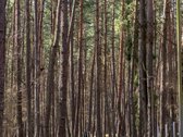 Parduodamas modernus, pilnai įrengtas ir - nuotraukos Nr. 21