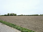 ? Erdvus 66 arų sklypas Peskojuose – vieta - nuotraukos Nr. 5