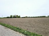 ? Erdvus 66 arų sklypas Peskojuose – vieta - nuotraukos Nr. 7