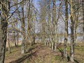 Lazdijų r. sav., Šventežerio mstl. - nuotraukos Nr. 8