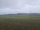 Parduodamas žemės ūkio paskirties sklypas - nuotraukos Nr. 2