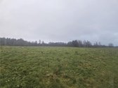 Parduodamas žemės ūkio paskirties sklypas - nuotraukos Nr. 4