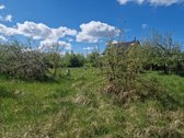 Parduodamas 12 a. žemės sklypas Vaitelių km. - nuotraukos Nr. 3
