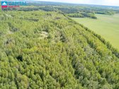 Parduodamas 8,40 ha žemės ūkio ir miškų ūkio - nuotraukos Nr. 6