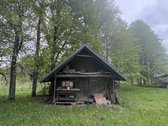 Šeimos sodyba, jau kurį laiką negyvenama. - nuotraukos Nr. 5