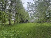 Šeimos sodyba, jau kurį laiką negyvenama. - nuotraukos Nr. 7