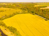 Parduodamas išskirtinis 3.3ha žemės sklypas - nuotraukos Nr. 5