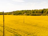 Parduodamas išskirtinis 3.3ha žemės sklypas - nuotraukos Nr. 6
