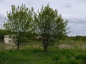 Erdvus namų valdos sklypas šalia Lentvario, - nuotraukos Nr. 5