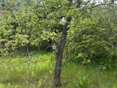 Įsikurk savo ateities kampelį - nuotraukos Nr. 16