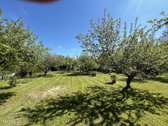 Parduodamas sklypas 11,89 a. (du sklypai - nuotraukos Nr. 2