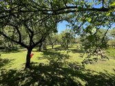 Parduodamas sklypas 11,89 a. (du sklypai - nuotraukos Nr. 6