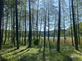 Išskirtinė Kaimo Turizmo Sodyba, Apsupta - nuotraukos Nr. 13