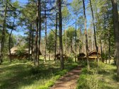 Išskirtinė Kaimo Turizmo Sodyba, Apsupta - nuotraukos Nr. 14