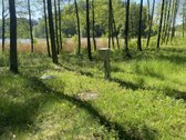 Išskirtinė Kaimo Turizmo Sodyba, Apsupta - nuotraukos Nr. 15