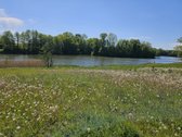 Parduodamas išskirtinis sklypas, kuris - nuotraukos Nr. 5