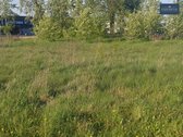 Vilniuje,balsiuose,žaliųjų Ežerų gatvėje - nuotraukos Nr. 9
