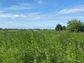 Parduodamas sklypas Stetiškėse  - nuotraukos Nr. 5