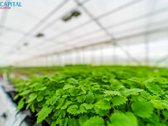 Vakarų Lietuvoje – Laukžemės Kaime, Kretingos - nuotraukos Nr. 14