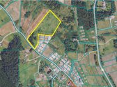 Pikeliškių k., Beržų g. parduodamas 4 ha - nuotraukos Nr. 8