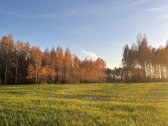 Parduodamas 10.80 ha žemės sklypai Bartkuškio - nuotraukos Nr. 2