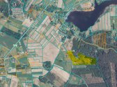 Parduodamas 10.80 ha žemės sklypai Bartkuškio - nuotraukos Nr. 4