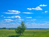 Investicinis Projektas Prie Trijų Dzūkijos Ežerų - nuotraukos Nr. 12