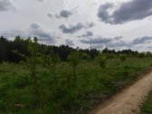 Parduodami 2 sklypai netoli Lentvario – puiki - nuotraukos Nr. 6