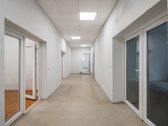 Nuomojamos 257 m2 patalpos pastate Žygio g. 89. - nuotraukos Nr. 4