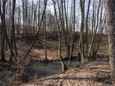 Retas pasiūlymas – 55 arų sklypas prie - nuotraukos Nr. 4