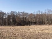 Retas pasiūlymas – 55 arų sklypas prie - nuotraukos Nr. 18