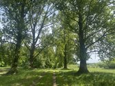 Ramioje Vietoje, Kaimo pakraštyje, Šalia - nuotraukos Nr. 5