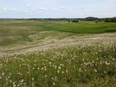 Lazdijų rajone, Paliūnų kaime, Beržų g.20 ir - nuotraukos Nr. 33