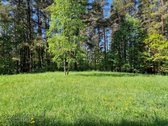 Sodybviete 1,60 ha su 200m smeletos ežero - nuotraukos Nr. 15
