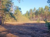 Parduodamas sklypas su leidimu statyti - nuotraukos Nr. 2